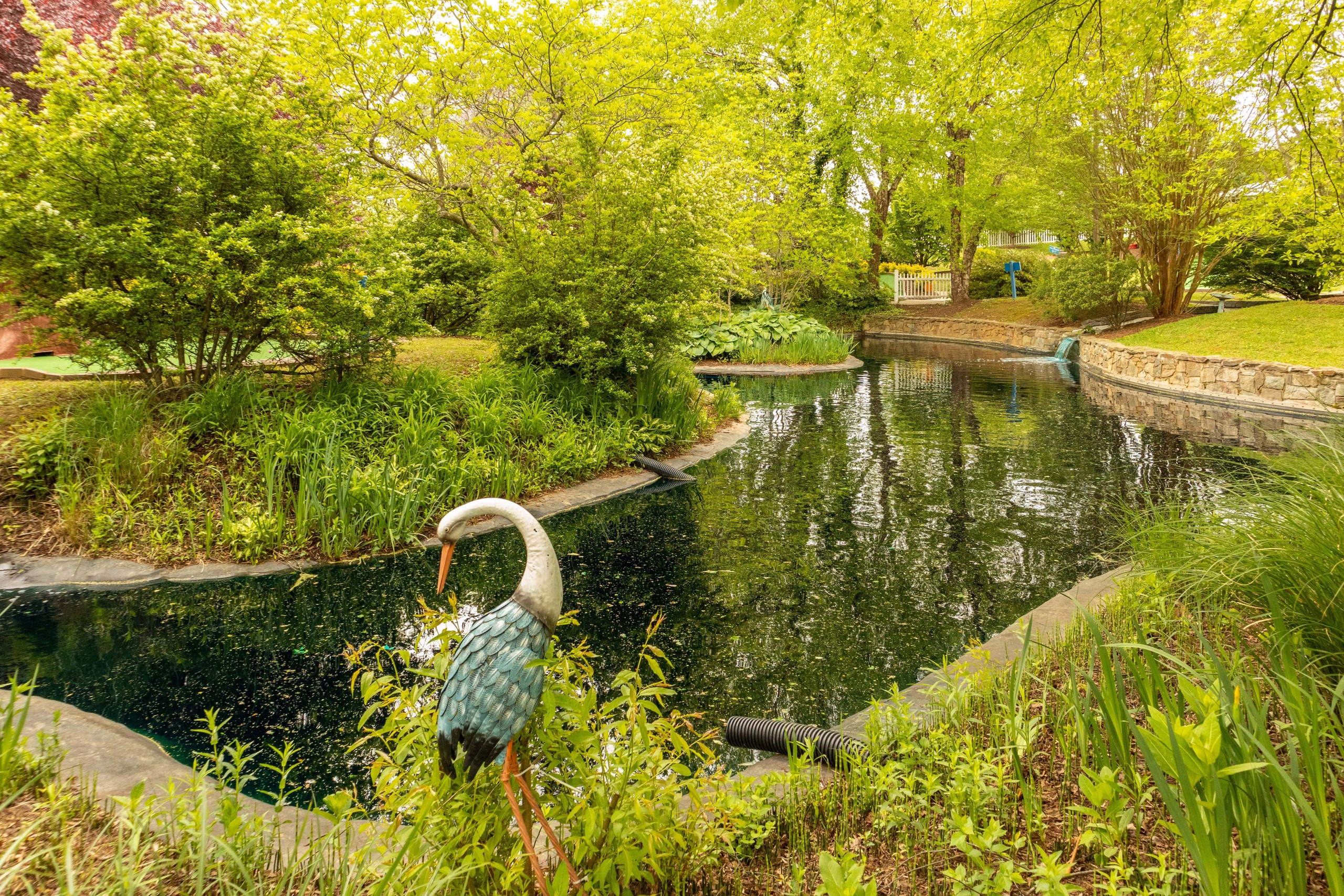 Natural Garden Ponds Embracing Organic Beauty